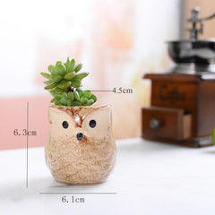 أواني زراعة الصSucculent من السيراميك على شكل بومة 6 قطع