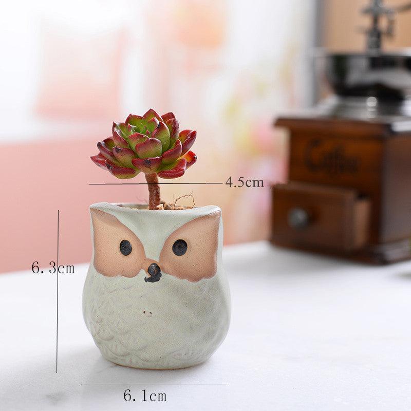 أواني زراعة الصSucculent من السيراميك على شكل بومة 6 قطع