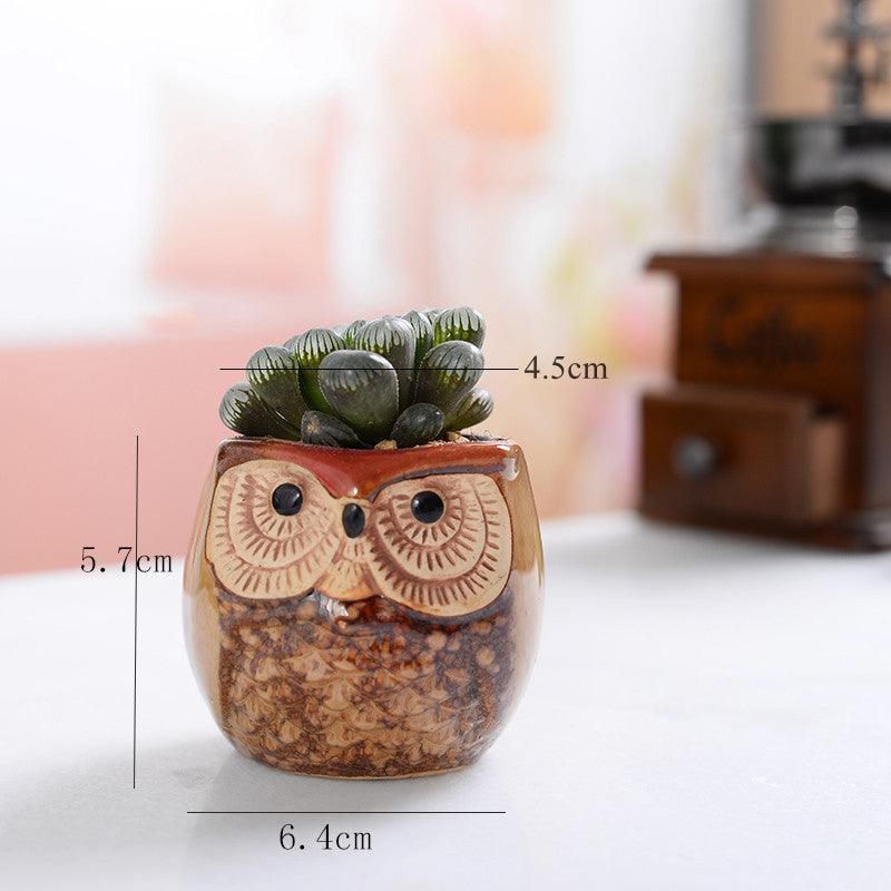 أواني زراعة الصSucculent من السيراميك على شكل بومة 6 قطع