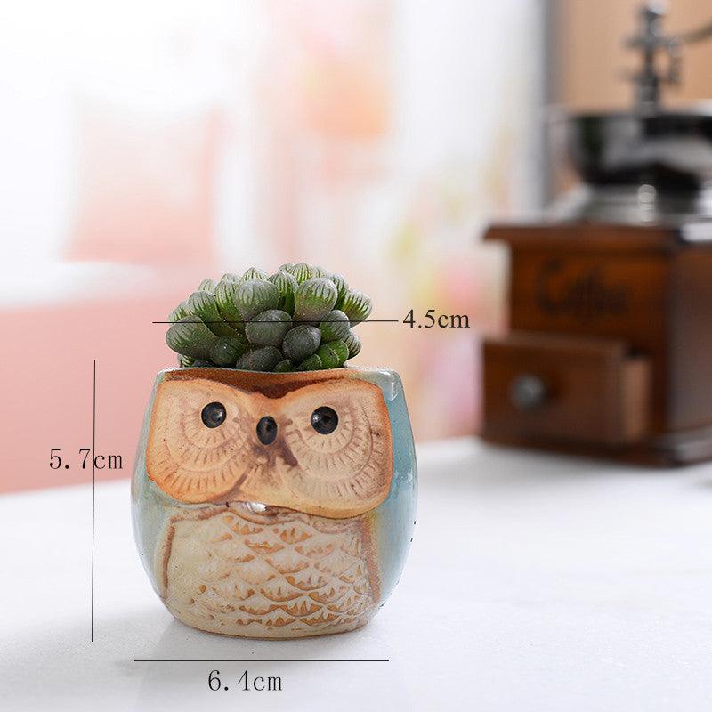 أواني زراعة الصSucculent من السيراميك على شكل بومة 6 قطع