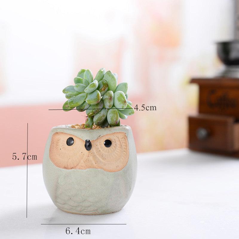 أواني زراعة الصSucculent من السيراميك على شكل بومة 6 قطع