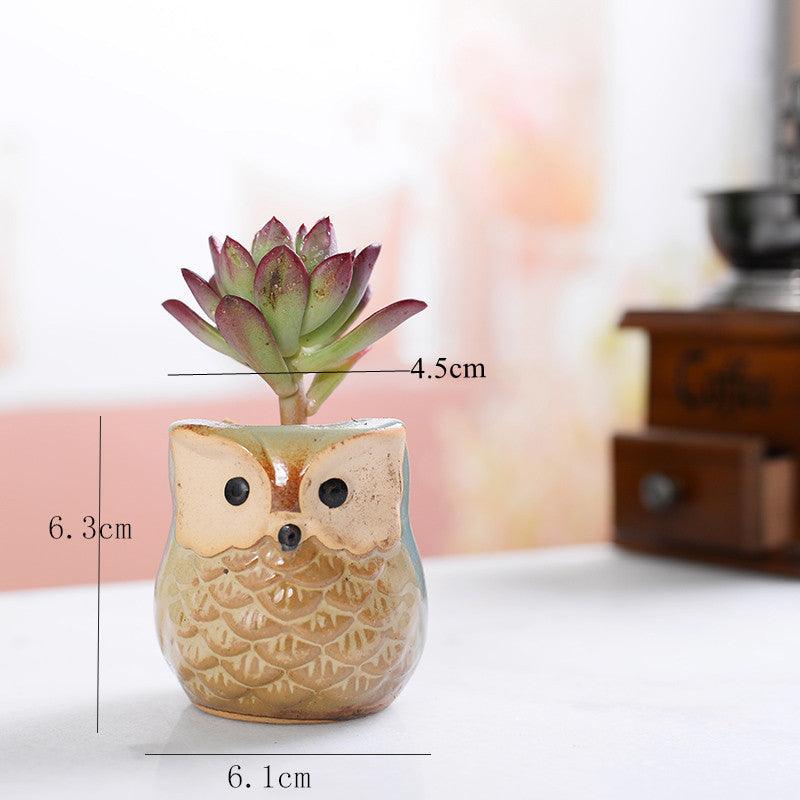 أواني زراعة الصSucculent من السيراميك على شكل بومة 6 قطع