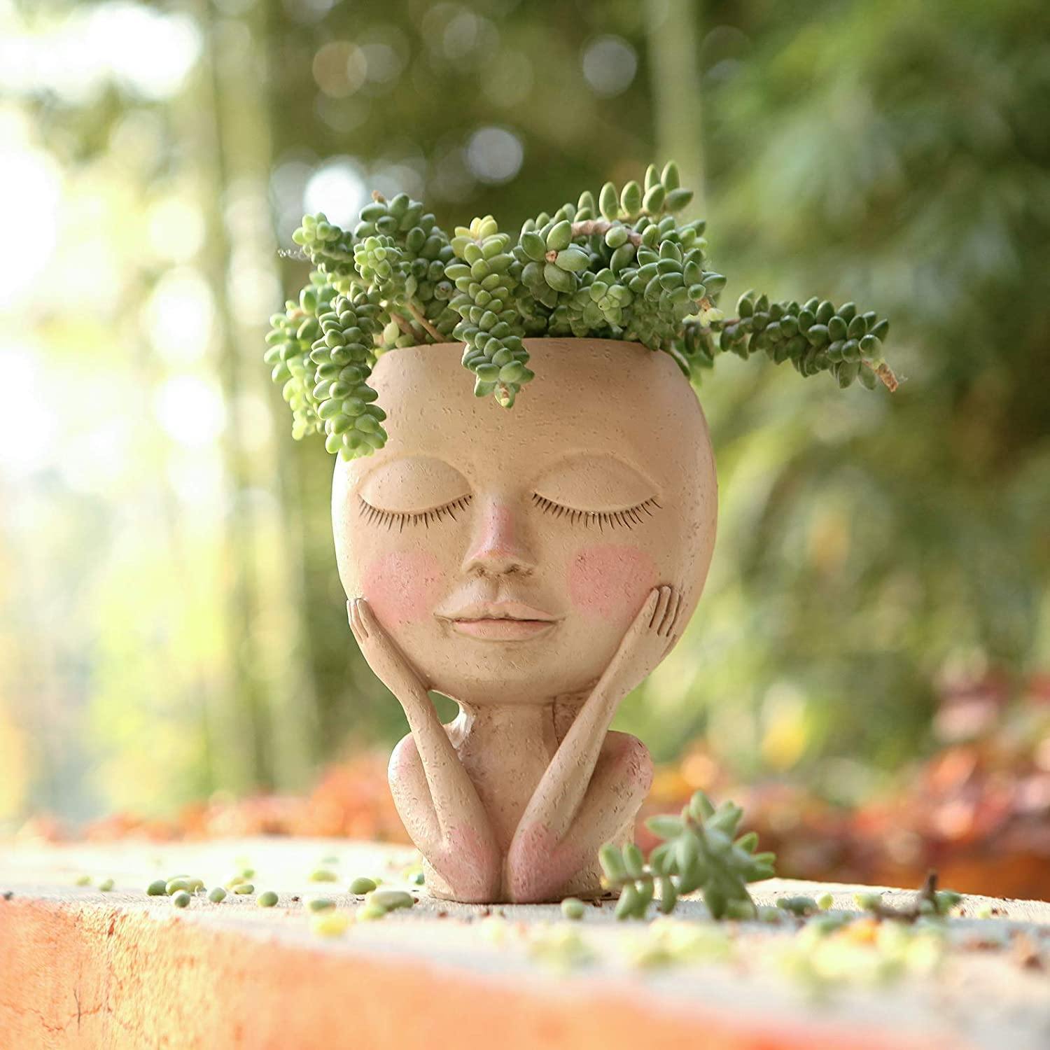 وعاء زراعة وجه متورد