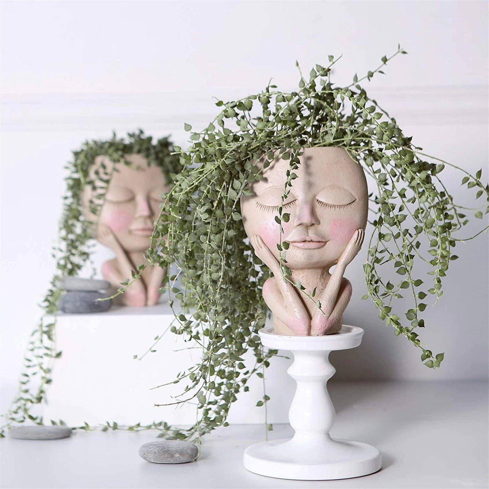 وعاء زراعة وجه متورد