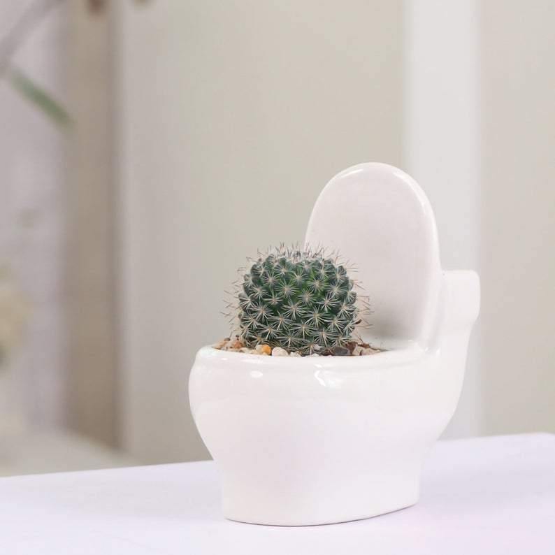 وعاء نباتات الصSucculent المصنوع يدويًا من السيراميك