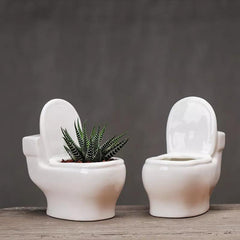 وعاء نباتات الصSucculent المصنوع يدويًا من السيراميك