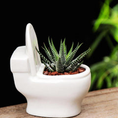 وعاء نباتات الصSucculent المصنوع يدويًا من السيراميك