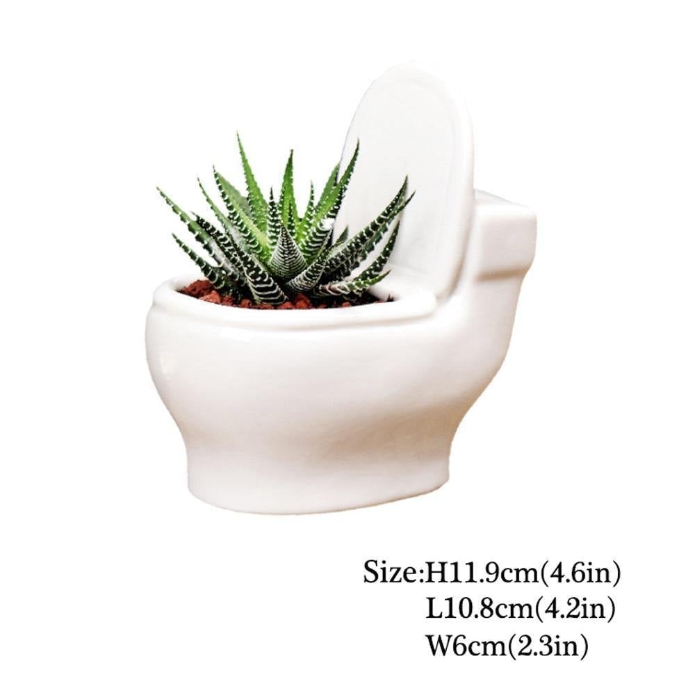 وعاء نباتات الصSucculent المصنوع يدويًا من السيراميك